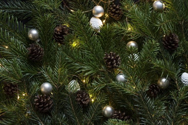 Christmas Tree Dublin – We bring your christmas tree home!