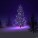 Christmas Tree Recycling