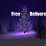 Christmas Tree Delivery